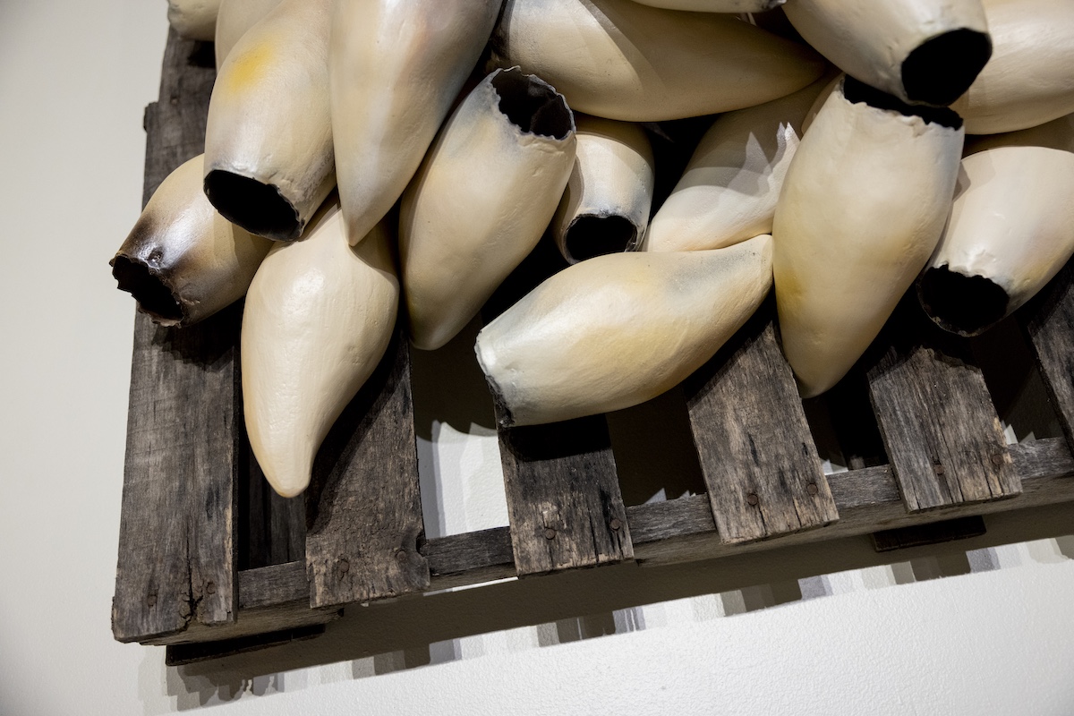 Cream-colored teeth like sculptures with black-tipped openings piled on a wooden pallet