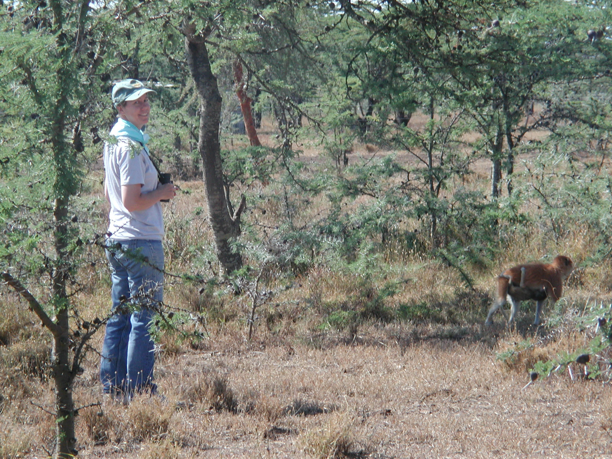 A person in a white shirt stands in the trees while a primate stands a distance away. 