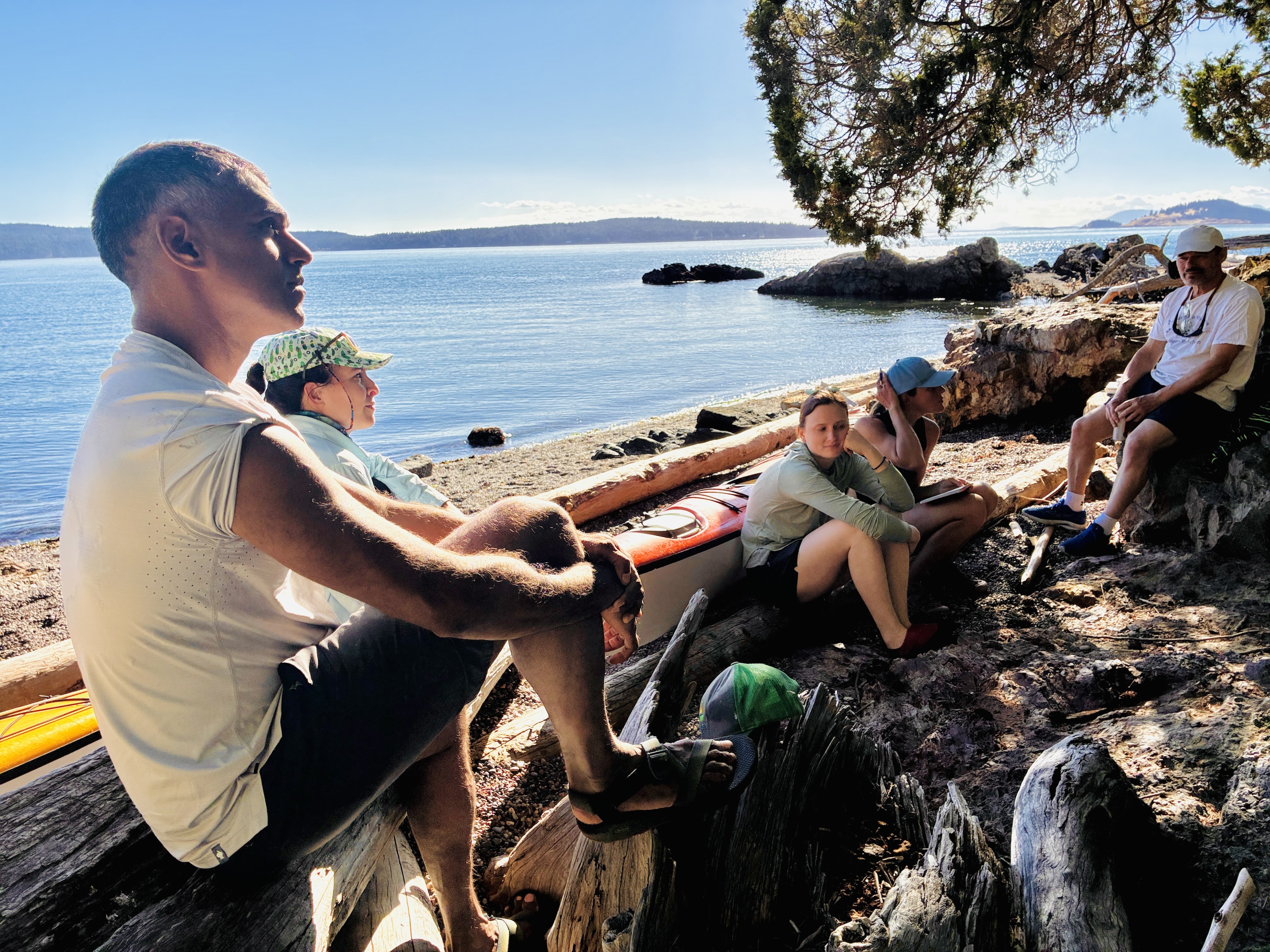 Four friends relaxing on rocky shore beside kayaks under a tree, calm blue sea