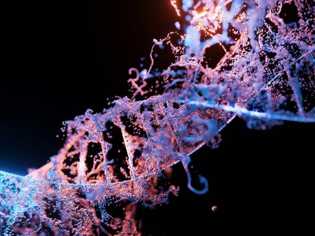 DNA Spiral
