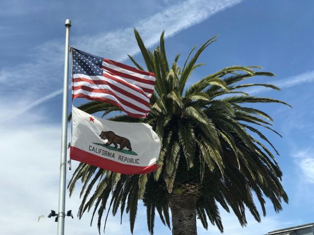 American and California flags waving beside a tall palm tree under blue sky