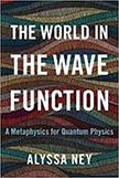 world in the wave function