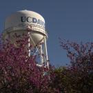 UC Davis water tower with spring flowers in the foreground. 