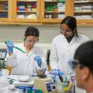 Two masked researchers in white lab coats working with a pipette and test tubes in a lab